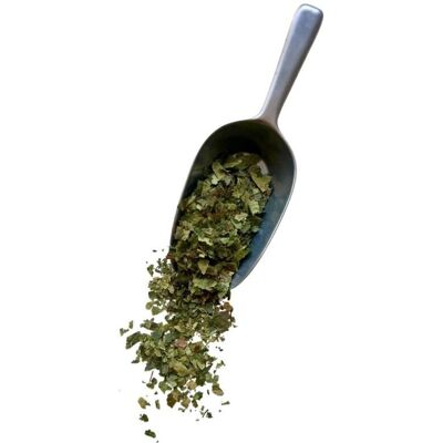 France Herboristerie Tisane Bouleau Feuille - 250g Purifiante & Revitalisante - Publicité France Herboristerie Tisane Bouleau Feuille - 250g Purifiante & Revitalisante - Publicité