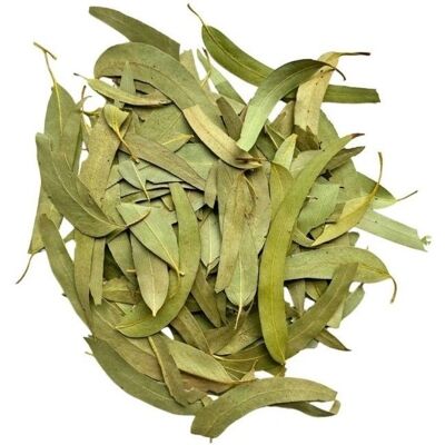 France Herboristerie - Eucalyptus globulus - 250 g - Tea - Publicité France Herboristerie - Eucalyptus globulus - 250 g - Tea - Publicité