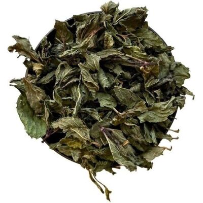 France Herboristerie - Mentha piperita - tisane - Publicité France Herboristerie - Mentha piperita - tisane - Publicité