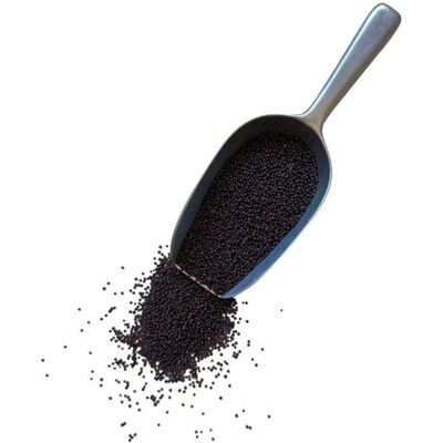 France Herboristerie - Moutarde noire graines entieres - 1 KILO - Publicité France Herboristerie - Moutarde noire graines entieres - 1 KILO - Publicité