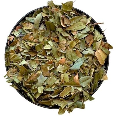 France Herboristerie - Myrtus communis - Feuilles entières - Tisane - Publicité France Herboristerie - Myrtus communis - Feuilles entières - Tisane - Publicité
