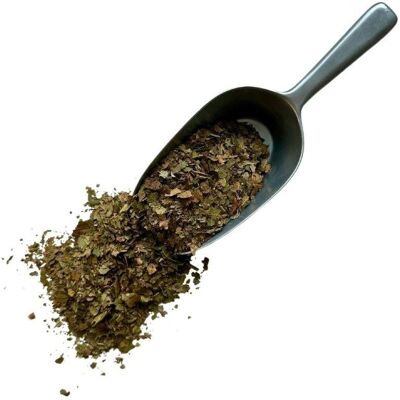France Herboristerie Thé aux feuilles de noyer - Tisane de Juglans regia - Publicité France Herboristerie Thé aux feuilles de noyer - Tisane de Juglans regia - Publicité