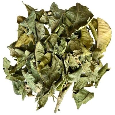 France Herboristerie - Oranger Bigarade feuilles - 100 g - tisane - Publicité France Herboristerie - Oranger Bigarade feuilles - 100 g - tisane - Publicité