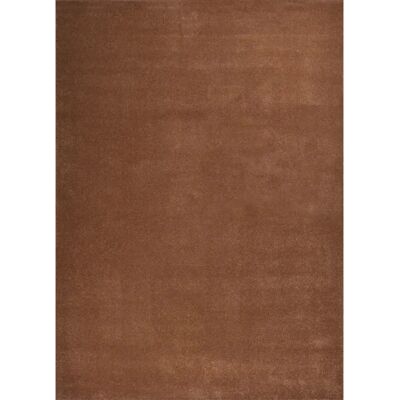 Tapis Marron Nazar Courte Poil - Tapis - Publicité Tapis Marron Nazar Courte Poil - Tapis - Publicité
