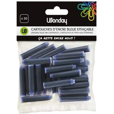 Cartouches d'encre bleue Wonday - Lot de 30 - Pour professionnels - Publicité Cartouches d'encre bleue Wonday - Lot de 30 - Pour professionnels - Publicité