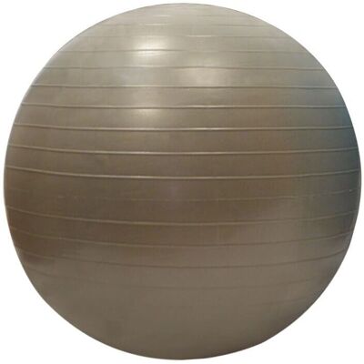 Sporti France Gymball 55cm - Gymball Sporti France Gymball 55cm - Gymball