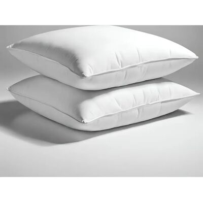 Promo Linge 2 Oreillers de soutien blancs 65x65cm - Publicité Promo Linge 2 Oreillers de soutien blancs 65x65cm - Publicité