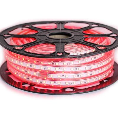 Sysled - Cinta led profesional 5050 - Rojo - LED strip Sysled - Cinta led profesional 5050 - Rojo - LED strip