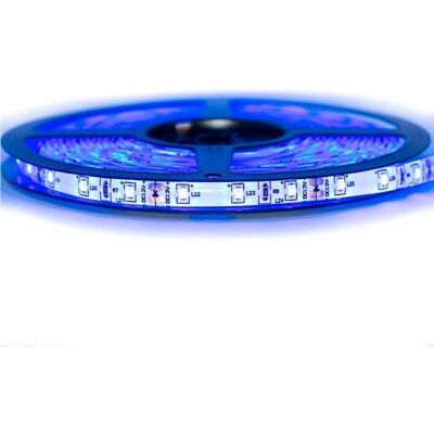 SYSLED - 3528-60 - Azul - IP65 - LED strip SYSLED - 3528-60 - Azul - IP65 - LED strip