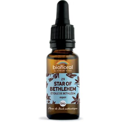 Biofloral Étoile de Bethléem 20ml - Remède floral - Publicité Biofloral Étoile de Bethléem 20ml - Remède floral - Publicité