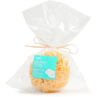 Esponja de Mar Natural Najel - Suave y Absorbente - Para Cara y Bebé - 1ud Esponja de Mar Natural Najel - Suave y Absorbente - Para Cara y Bebé - 1ud