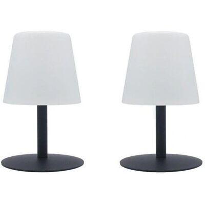 Lumisky 2X Standy Mini Rock Lámpara de Mesa LED Lumisky 2X Standy Mini Rock Lámpara de Mesa LED