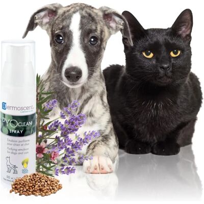Spray Pyoclean de Dermoscent para perros y gatos - 50ml Spray Pyoclean de Dermoscent para perros y gatos - 50ml