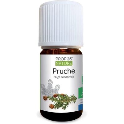 Propos Nature Pruche Bio Eterisk Olja - Lugnande & Hållbar - 5ml Propos Nature Pruche Bio Eterisk Olja - Lugnande & Hållbar - 5ml