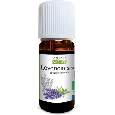 Aceite Esencial Lavanda - Aceite Esencial Aceite Esencial Lavanda - Aceite Esencial