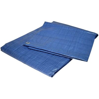 TECPLAST Tente en plastique bleue 4x5 m - Tente de protection - Publicité TECPLAST Tente en plastique bleue 4x5 m - Tente de protection - Publicité