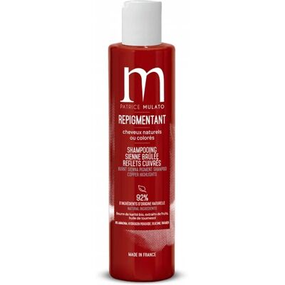 Shampoo Patrice Mulato Sienne Brûlée - Révèle la couleur & brillance - Publicité Shampoo Patrice Mulato Sienne Brûlée - Révèle la couleur & brillance - Publicité