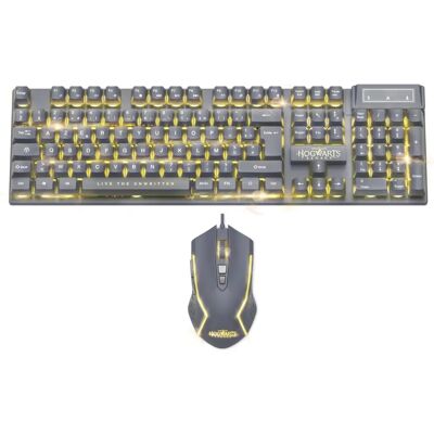 Pack Clavier et Souris Gaming rétroéclairés Harry Potter Hogwarts Legacy Pack Clavier et Souris Gaming rétroéclairés Harry Potter Hogwarts Legacy