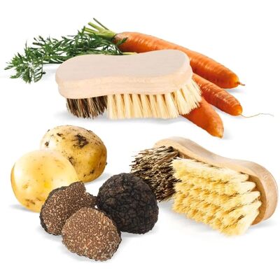 Brosse à légumes La Bonne Graine - Outil efficace en fibres naturelles - Publicité Brosse à légumes La Bonne Graine - Outil efficace en fibres naturelles - Publicité