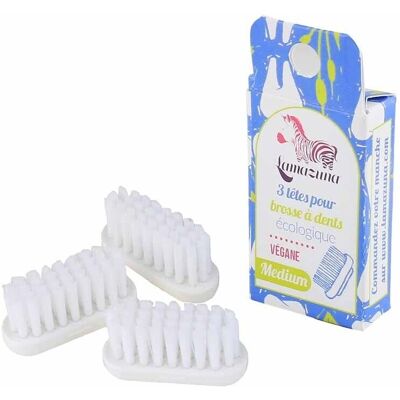 Lamazuna Recambio para Cepillo de Dientes Mediano con 3 Cabezas - Recambio Lamazuna Recambio para Cepillo de Dientes Mediano con 3 Cabezas - Recambio