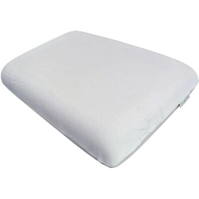 Oreiller Vegelya 55X37Cm Thalasso Viscovegetal Oreiller Vegelya 55X37Cm Thalasso Viscovegetal