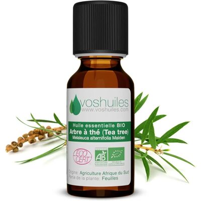 Voshuiles - Tea Tree Oil - 60ml - Huile essentielle - Publicité Voshuiles - Tea Tree Oil - 60ml - Huile essentielle - Publicité