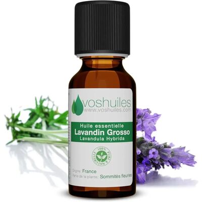 Voshuiles Voshuiles Huile Essentielle de Lavandin Grosso - Essential Oil - Publicité Voshuiles Voshuiles Huile Essentielle de Lavandin Grosso - Essential Oil - Publicité