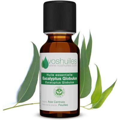 Voshuiles - Eucalyptus Globulus - 250ml - Essential Oil - Publicité Voshuiles - Eucalyptus Globulus - 250ml - Essential Oil - Publicité
