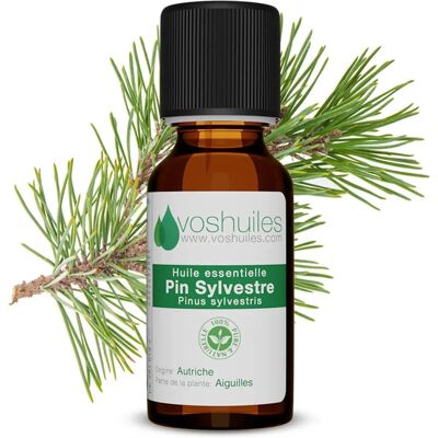 Aceite Esencial de Pino - Aroma Forestal Aceite Esencial de Pino - Aroma Forestal