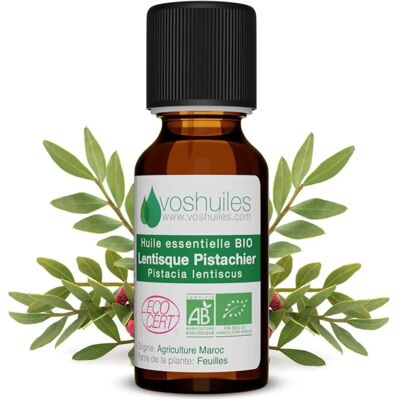 Voshuiles - Lentisque Pistachier - Essential Oil - Publicité Voshuiles - Lentisque Pistachier - Essential Oil - Publicité