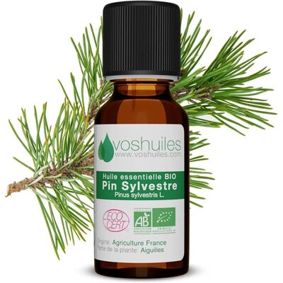 Voshuiles - Pin Sylvestre - 20ml - Biologique - Huile essentielle - Publicité Voshuiles - Pin Sylvestre - 20ml - Biologique - Huile essentielle - Publicité
