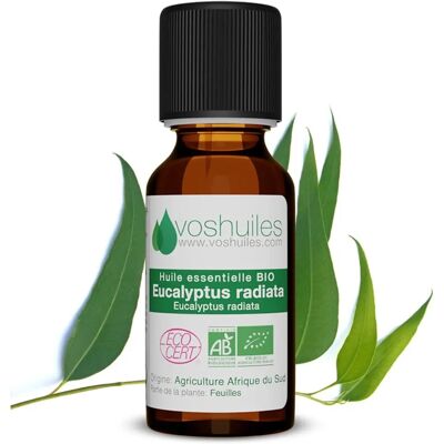 Voshuiles - Eucalyptus Radiata Bio - Organic - Essential oil Voshuiles - Eucalyptus Radiata Bio - Organic - Essential oil