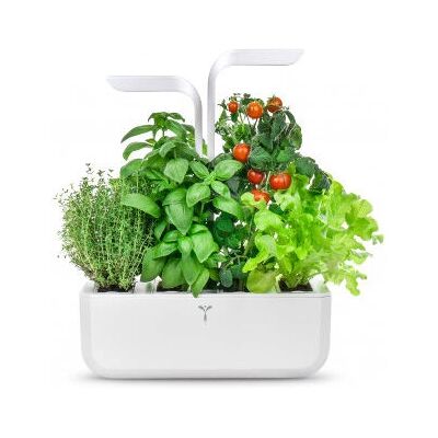 Giardino da interno Véritable Classic - Bianco - Kit di coltivazione Giardino da interno Véritable Classic - Bianco - Kit di coltivazione