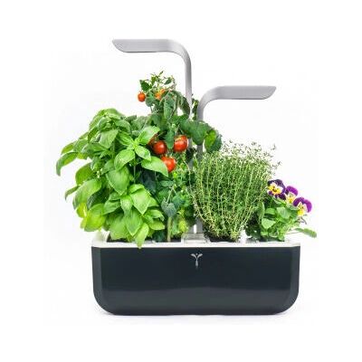 Véritable Smart Indoor Garden - Autonom, Verstellbare LED, 4 Samen-Kapseln Véritable Smart Indoor Garden - Autonom, Verstellbare LED, 4 Samen-Kapseln