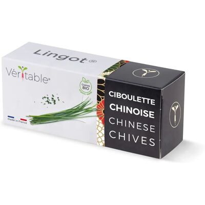 Confezione di Semi di Erba Bio di Ciboulette Véritable - Semi per Giardino Indoor Confezione di Semi di Erba Bio di Ciboulette Véritable - Semi per Giardino Indoor