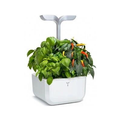 Véritable SMART EXKY Garten - Weiß Indoor Véritable SMART EXKY Garten - Weiß Indoor