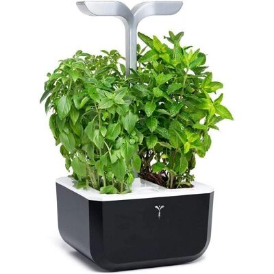 Véritable Exky SMART Soft Black Indoor-Garten - Verstellbar, Automatischer Wasser Véritable Exky SMART Soft Black Indoor-Garten - Verstellbar, Automatischer Wasser
