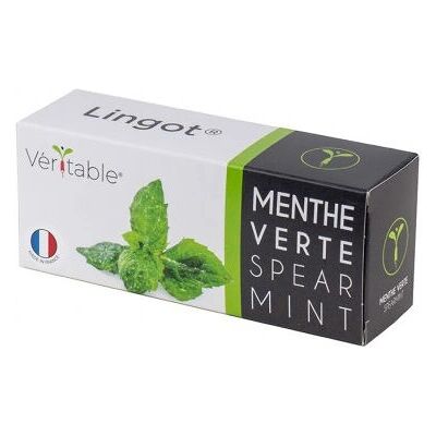 Kit di coltivazione Menta - Ricambio biologico Kit di coltivazione Menta - Ricambio biologico