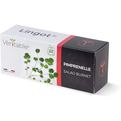 VÉRITABLE Herbes Aromatiques Sanguisorba Biologique - Publicité VÉRITABLE Herbes Aromatiques Sanguisorba Biologique - Publicité