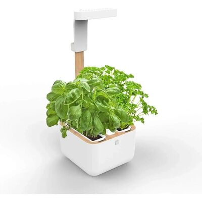 Botaneo Indoor Garten - Kräutertopf-Set Exky SMART weiß Botaneo Indoor Garten - Kräutertopf-Set Exky SMART weiß