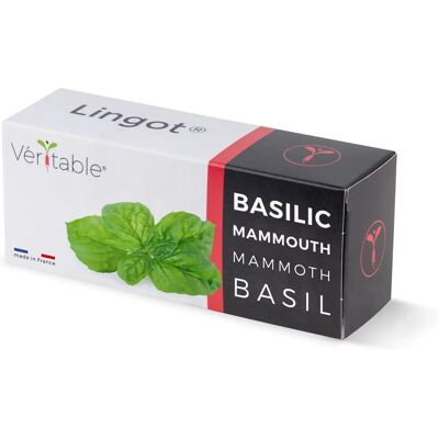 Véritable Basilic Mammouth Kit - Jardinage d'Intérieur - Publicité Véritable Basilic Mammouth Kit - Jardinage d'Intérieur - Publicité