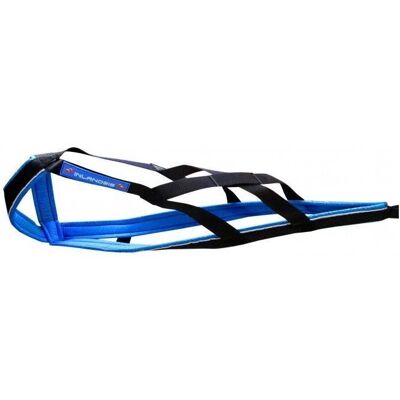 Inlandsis Polar Quest - Harnais pour chien Bleu/Vert M/L - Harnais pour chien - Publicité Inlandsis Polar Quest - Harnais pour chien Bleu/Vert M/L - Harnais pour chien - Publicité