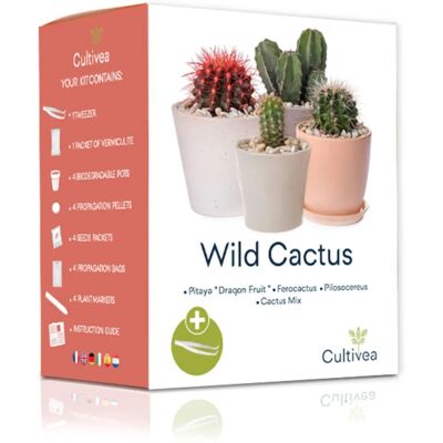 Kadogalerie Cultivez votre propre cactus sauvage - Kit de plantes - Publicité Kadogalerie Cultivez votre propre cactus sauvage - Kit de plantes - Publicité
