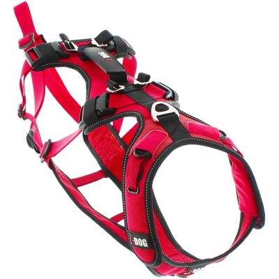 Harnais Trek Rouge I-Dog - Réglable, Respirant, Réfléchissant - Chien - Publicité Harnais Trek Rouge I-Dog - Réglable, Respirant, Réfléchissant - Chien - Publicité