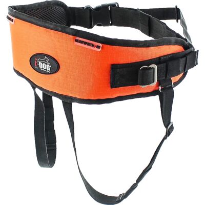 I-Dog One Light Orange Taille unique - Accessoire pour chien - Publicité I-Dog One Light Orange Taille unique - Accessoire pour chien - Publicité