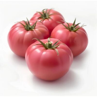 Semences de Tomate Rose de Berne - Permaculture - Semi-Sauvage - Publicité Semences de Tomate Rose de Berne - Permaculture - Semi-Sauvage - Publicité