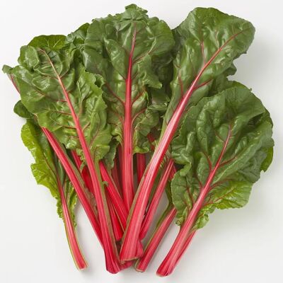 SemiSauvage Permaculture 30 Red Rhubarb Swiss Chard Seeds - huerta - semillas campesinas reproducibles - Semi-Salvaje - Publicité SemiSauvage Permaculture 30 Red Rhubarb Swiss Chard Seeds - huerta - semillas campesinas reproducibles - Semi-Salvaje - Publicité