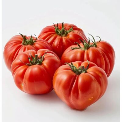 SemiSauvage Semences de Tomate Cœur de Bœuf - Ancien légume - Permaculture - Large 500-600g - Publicité SemiSauvage Semences de Tomate Cœur de Bœuf - Ancien légume - Permaculture - Large 500-600g - Publicité