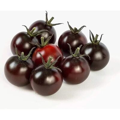 SemiSauvage Graines de Tomate Cerise Noire - Permaculture Semi-Sauvage - Publicité SemiSauvage Graines de Tomate Cerise Noire - Permaculture Semi-Sauvage - Publicité