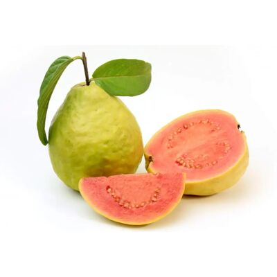 Semences de Goyave SemiSauvage - Plantes de Jardin Fruitiers - Semences Paysannes Reproductibles - Semiwild - Publicité Semences de Goyave SemiSauvage - Plantes de Jardin Fruitiers - Semences Paysannes Reproductibles - Semiwild - Publicité